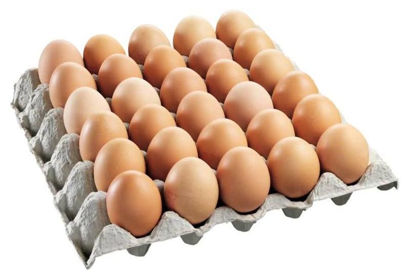 Large Egg Tray
