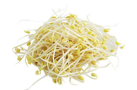 Fresh  Soy Bean Sprout 400g