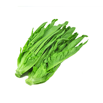 Fresh Leaf Lettuce 400g