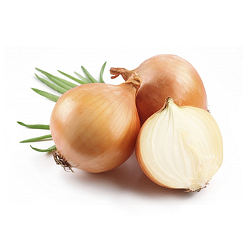 Fresh Big Onion 1kg